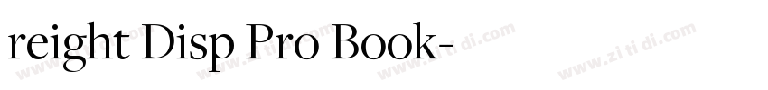 reight Disp Pro Book字体转换
